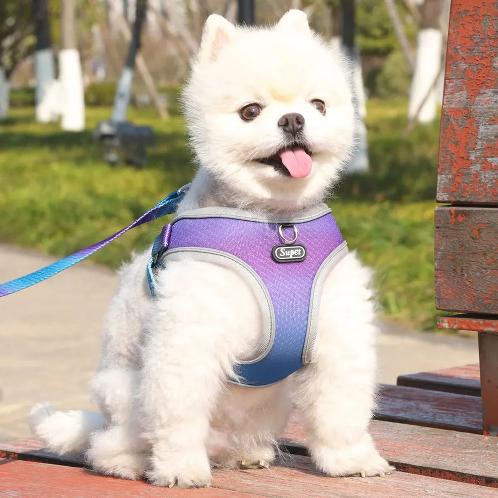 Peitoral Ajustável para Cães com Trela – Arnês Respirável Refletivo, Confortável e Seguro para Passeios | Tamanhos S, M, L e XL