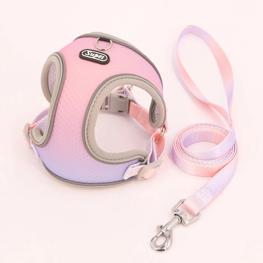 Peitoral Ajustável para Cães com Trela – Arnês Respirável Refletivo, Confortável e Seguro para Passeios | Tamanhos S, M, L e XL